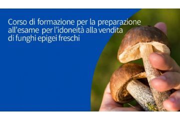Corso formativo per il commercio di funghi epigei